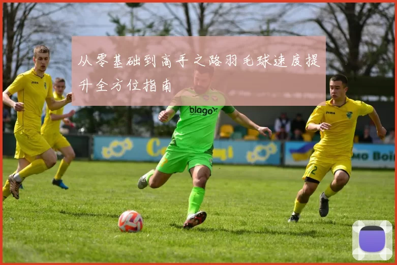 从零基础到高手之路羽毛球速度提升全方位指南