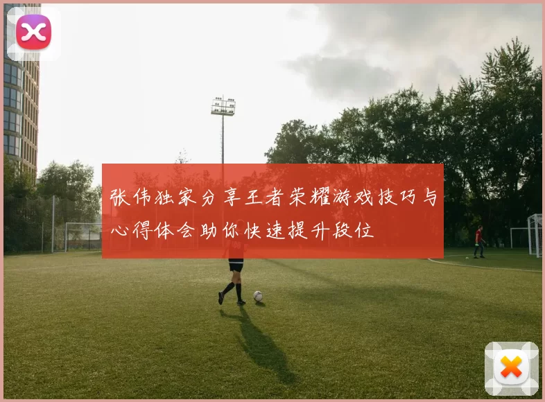 张伟独家分享王者荣耀游戏技巧与心得体会助你快速提升段位