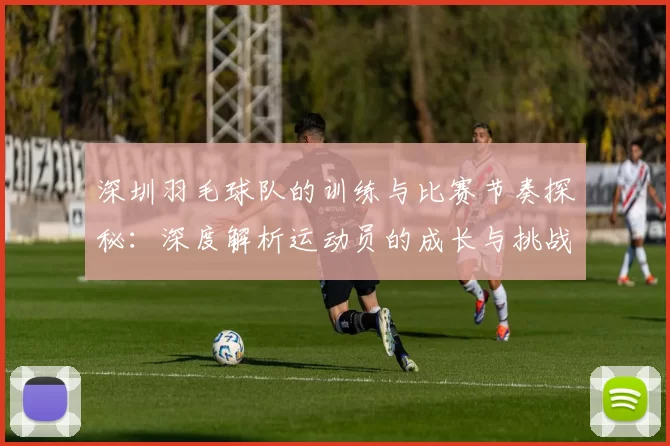 深圳羽毛球队的训练与比赛节奏探秘：深度解析运动员的成长与挑战