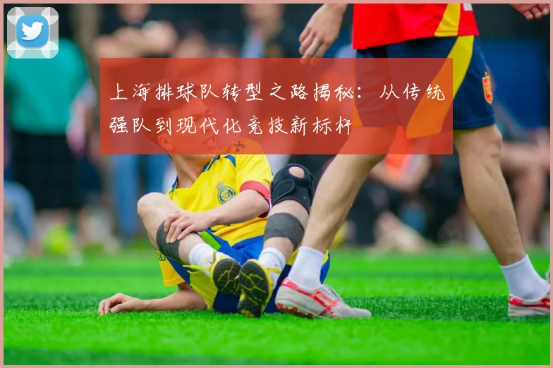 上海排球队转型之路揭秘：从传统强队到现代化竞技新标杆