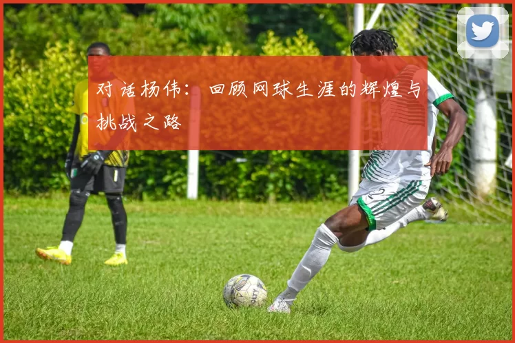 对话杨伟：回顾网球生涯的辉煌与挑战之路