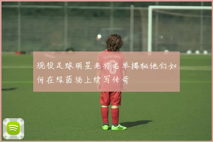 现役足球明星老将名单揭秘他们如何在绿茵场上续写传奇