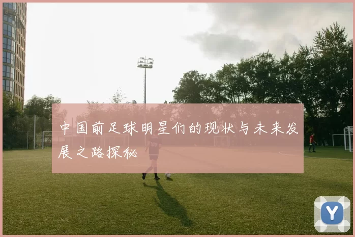 中国前足球明星们的现状与未来发展之路探秘
