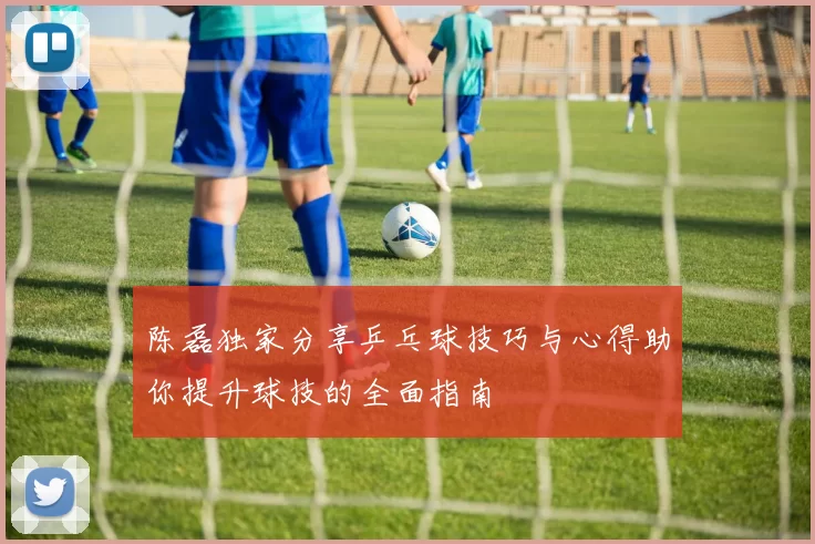 陈磊独家分享乒乓球技巧与心得助你提升球技的全面指南