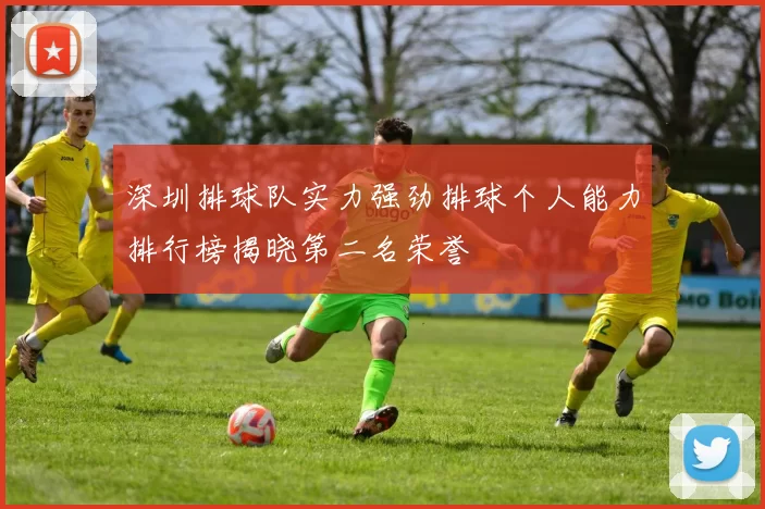 深圳排球队实力强劲排球个人能力排行榜揭晓第二名荣誉