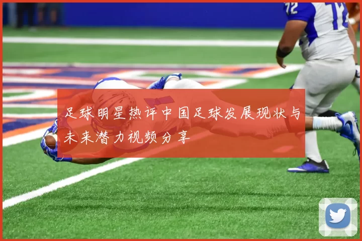 足球明星热评中国足球发展现状与未来潜力视频分享