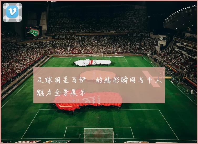 足球明星马伊琍的精彩瞬间与个人魅力全景展示
