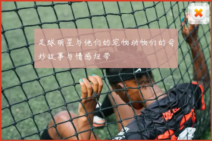 足球明星与他们的宠物动物们的奇妙故事与情感纽带