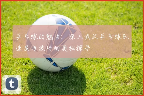 乒乓球的魅力：深入武汉乒乓球队速度与技巧的奥秘探寻