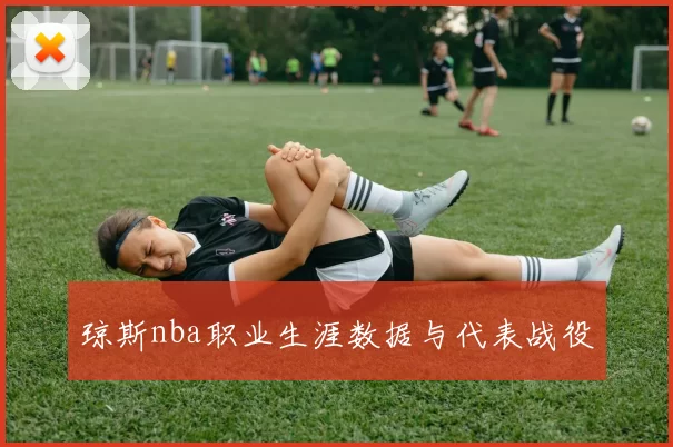 琼斯nba职业生涯数据与代表战役