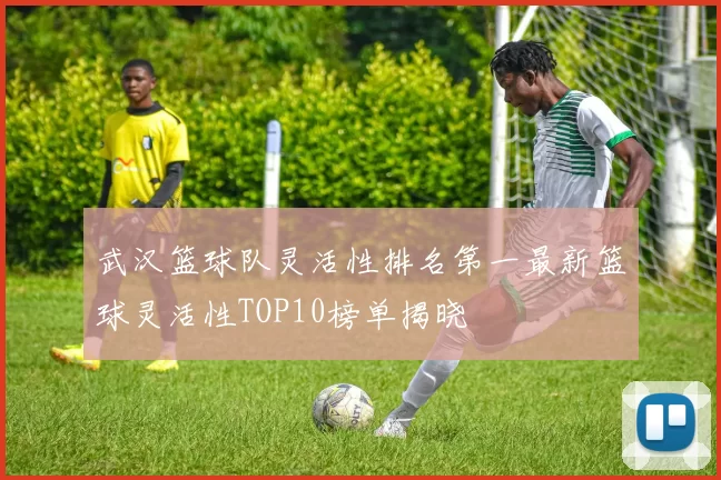 武汉篮球队灵活性排名第一最新篮球灵活性TOP10榜单揭晓