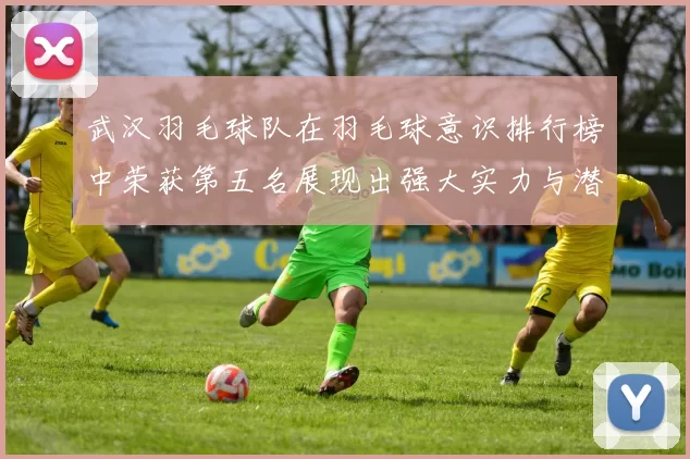 武汉羽毛球队在羽毛球意识排行榜中荣获第五名展现出强大实力与潜力