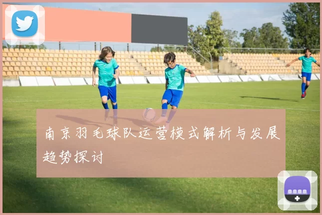 南京羽毛球队运营模式解析与发展趋势探讨