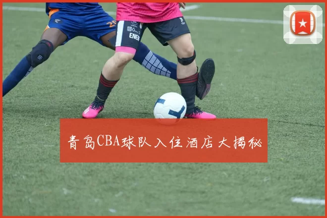 青岛CBA球队入住酒店大揭秘