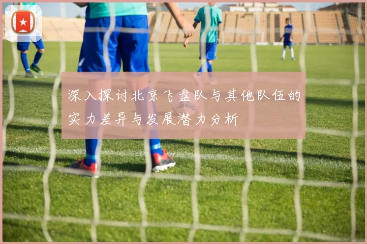 深入探讨北京飞盘队与其他队伍的实力差异与发展潜力分析
