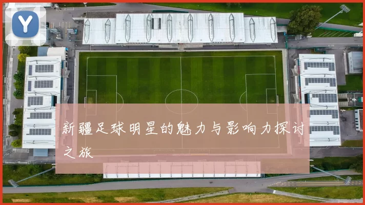 新疆足球明星的魅力与影响力探讨之旅