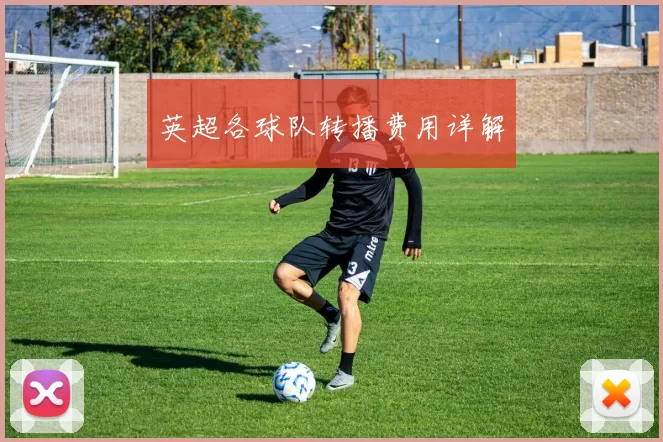 英超各球队转播费用详解
