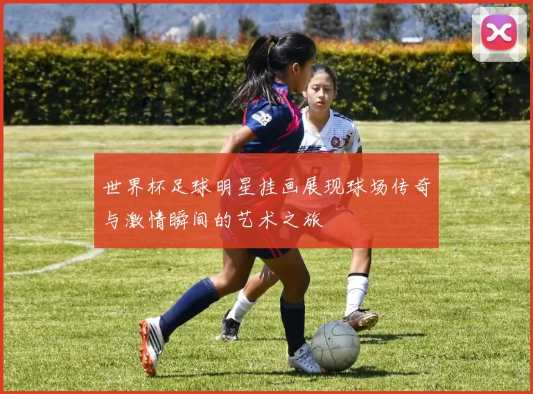 世界杯足球明星挂画展现球场传奇与激情瞬间的艺术之旅