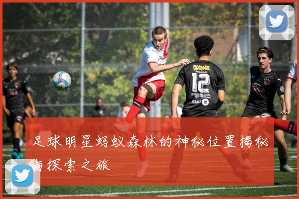 足球明星蚂蚁森林的神秘位置揭秘与探索之旅