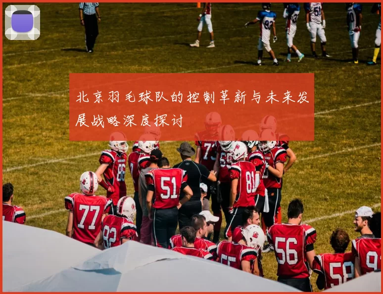 北京羽毛球队的控制革新与未来发展战略深度探讨