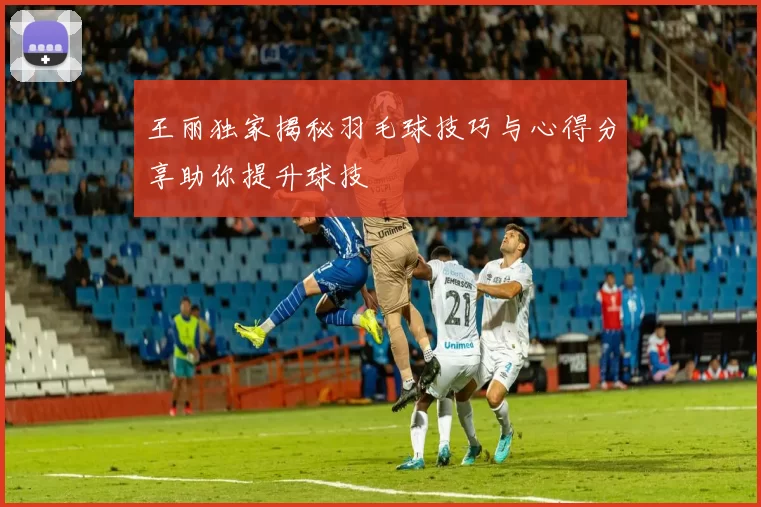 王丽独家揭秘羽毛球技巧与心得分享助你提升球技