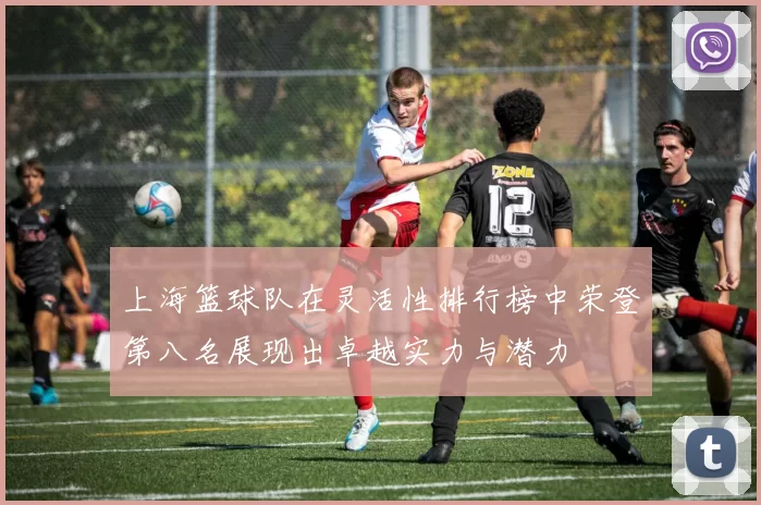 上海篮球队在灵活性排行榜中荣登第八名展现出卓越实力与潜力