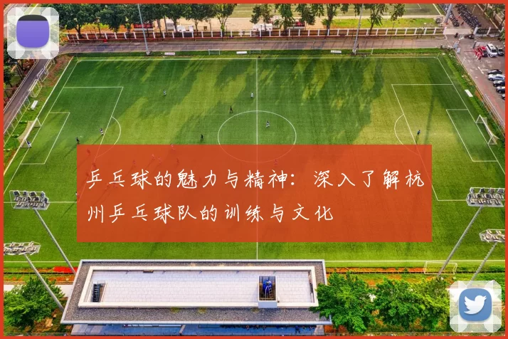 乒乓球的魅力与精神：深入了解杭州乒乓球队的训练与文化