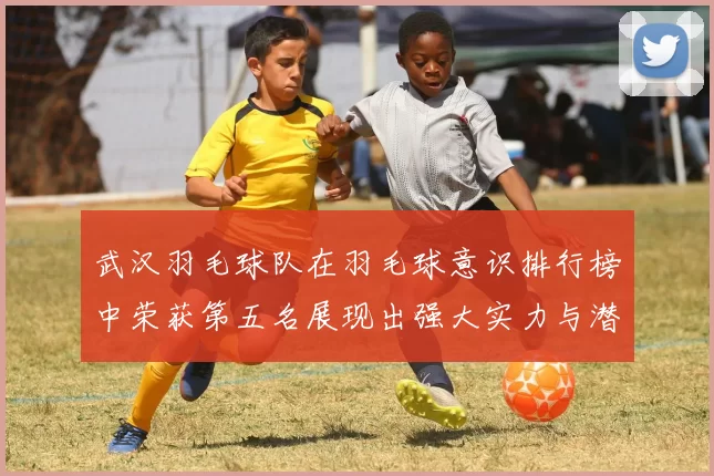 武汉羽毛球队在羽毛球意识排行榜中荣获第五名展现出强大实力与潜力