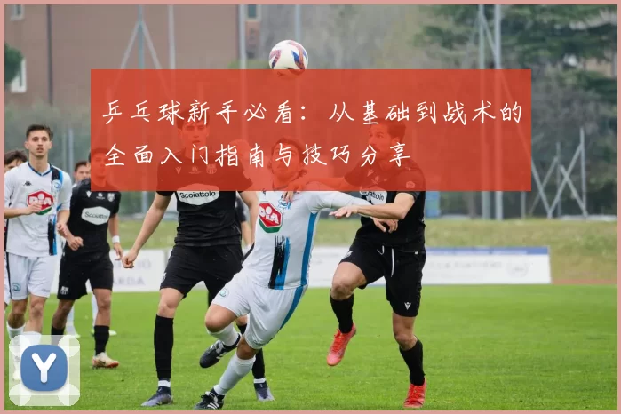 乒乓球新手必看：从基础到战术的全面入门指南与技巧分享