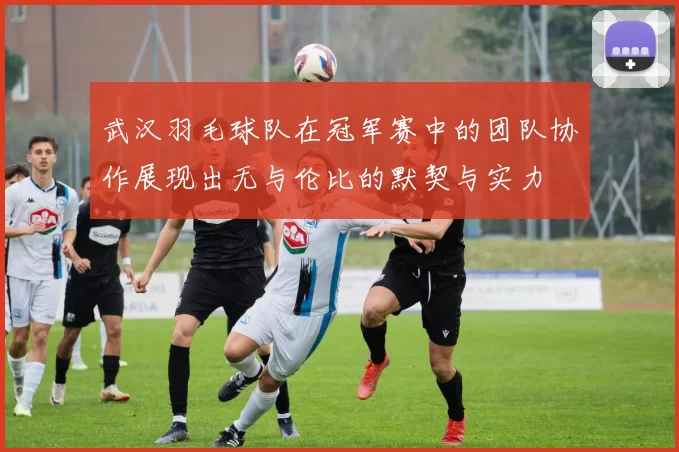 武汉羽毛球队在冠军赛中的团队协作展现出无与伦比的默契与实力