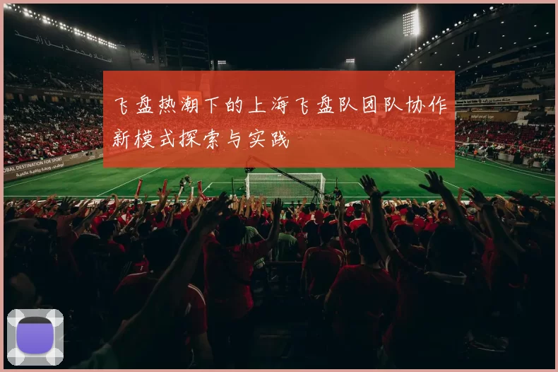 飞盘热潮下的上海飞盘队团队协作新模式探索与实践