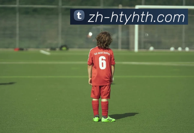 华体会平台生态图